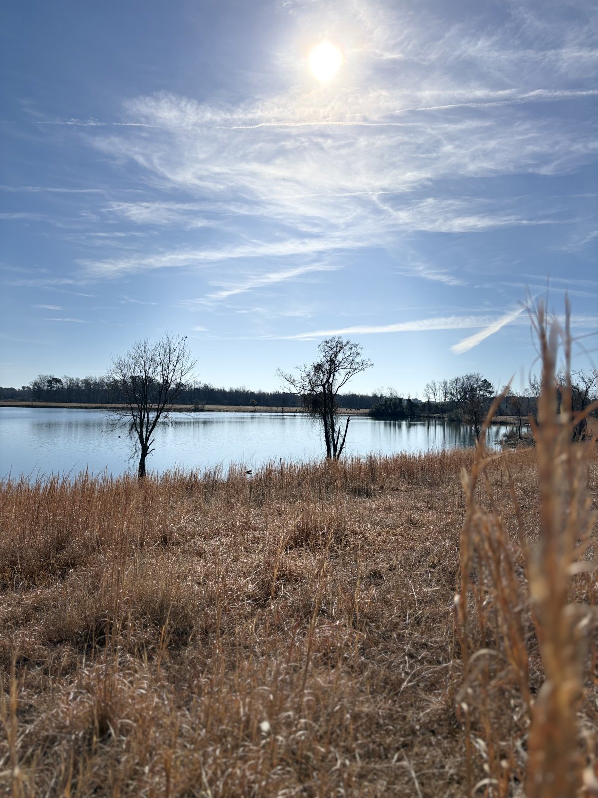 Access to the farmland and pond for photos
